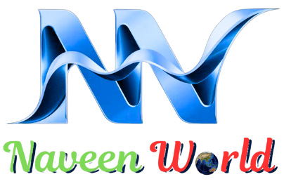 naveenworld Digital Marketing Agency In Bilaspur