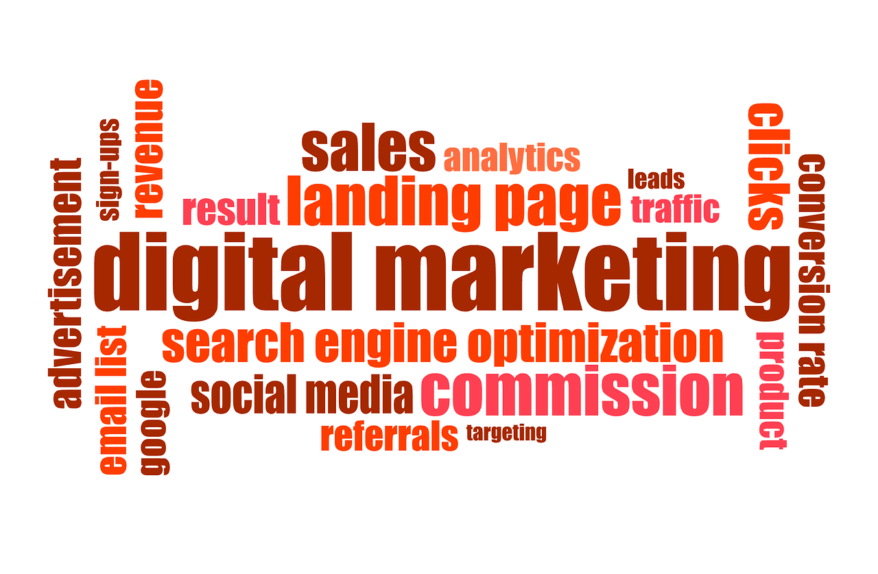 naveenworld digital marketing agency in bilaspur